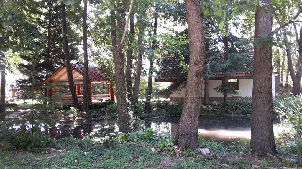 Hotel Holiday Park Ranchoto Kirkovo  Exteriér fotografie